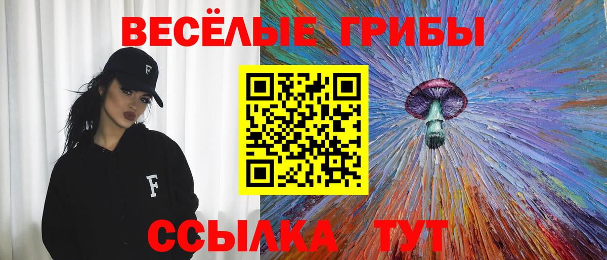 Реж  Псилоцибиновые грибы Psilocybe  Вход с VPN 
