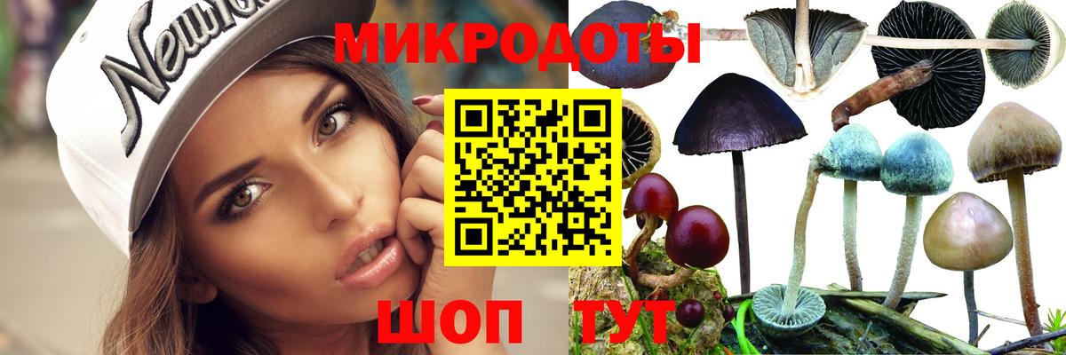 Галлюциногенные грибы Psilocybe Реж